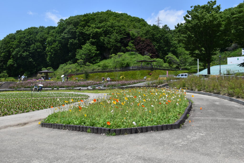 入口付近の風景