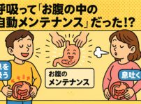 呼吸をすることによって内臓を知らないうちにメンテナンスしていることを表す画像
