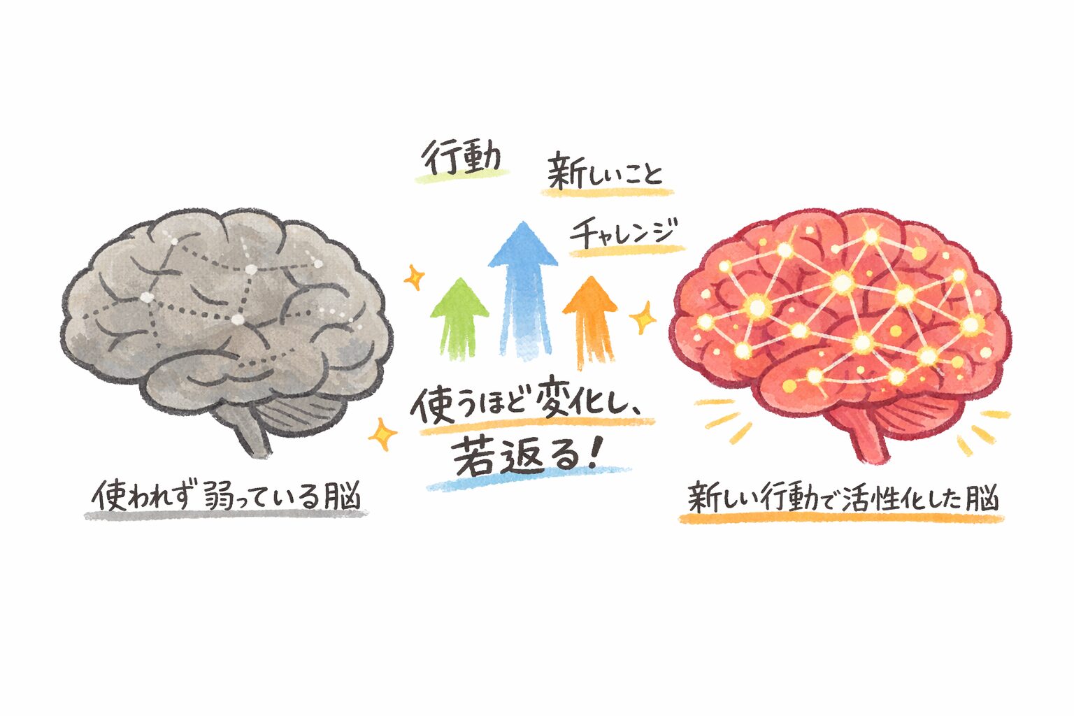 脳は何歳でも若返ることが出来るイメージ画像