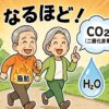 脂肪が二酸化炭素と水に分解されて外に出る様子を表現した画像