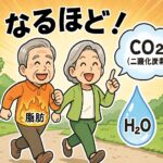 脂肪が二酸化炭素と水に分解されて外に出る様子を表現した画像