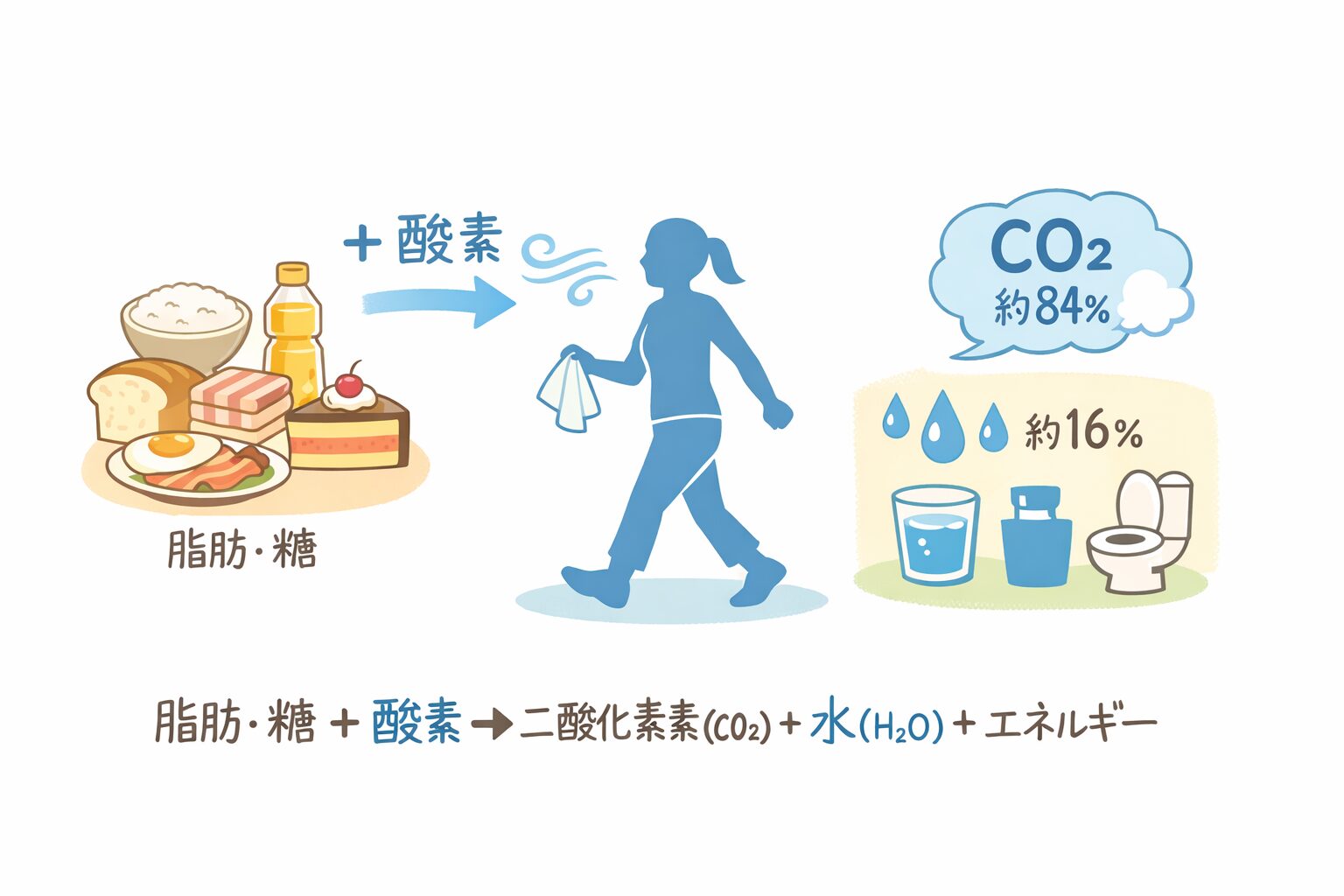 食べたものが変わる物質