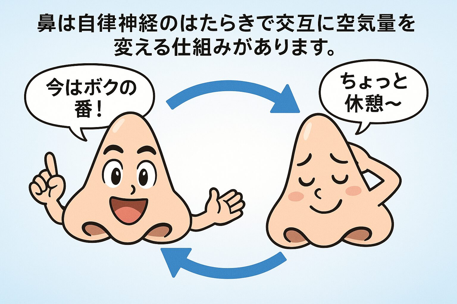 鼻サイクル:片方が働き、片方がお休みする仕組み